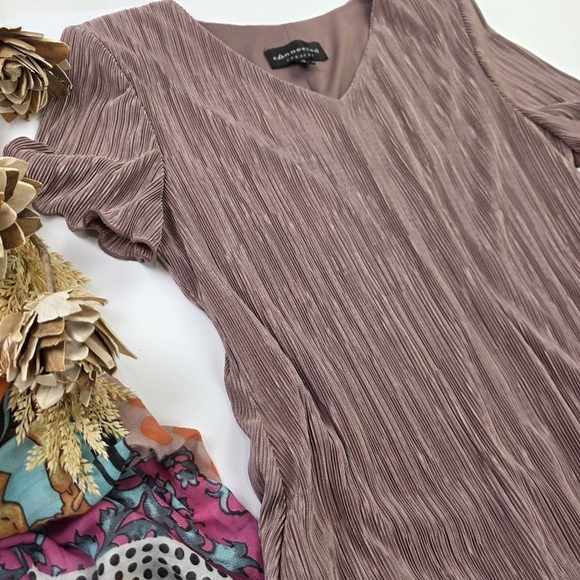 Connected Elegant Color block Mauve Pleated Dress Sz 12 - Picture 4 of 14